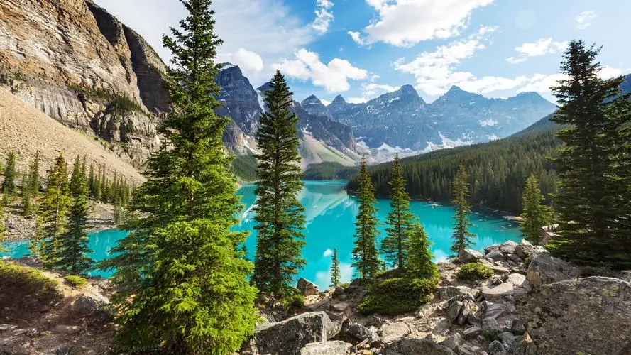 节能智能系统无人化